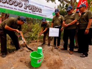 Kegiatan CSR penanaman 10,000 pohon