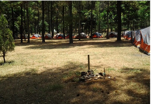 Camping di The Pines Taman Dayu